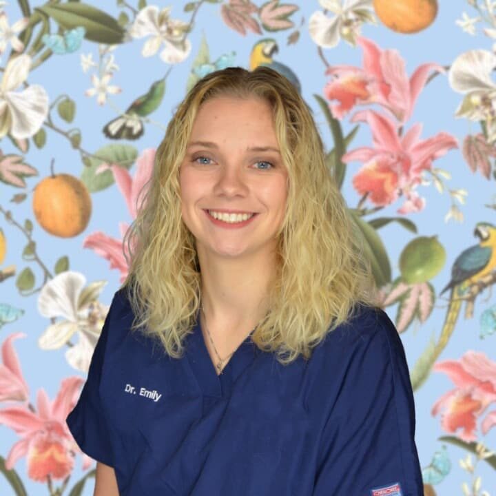 dr-emily-tropical-square-no-badge-v2
